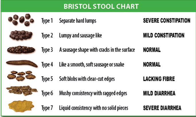 Inertie colique échelle de Bristol