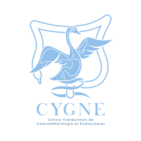 Le Cygne Yverdon